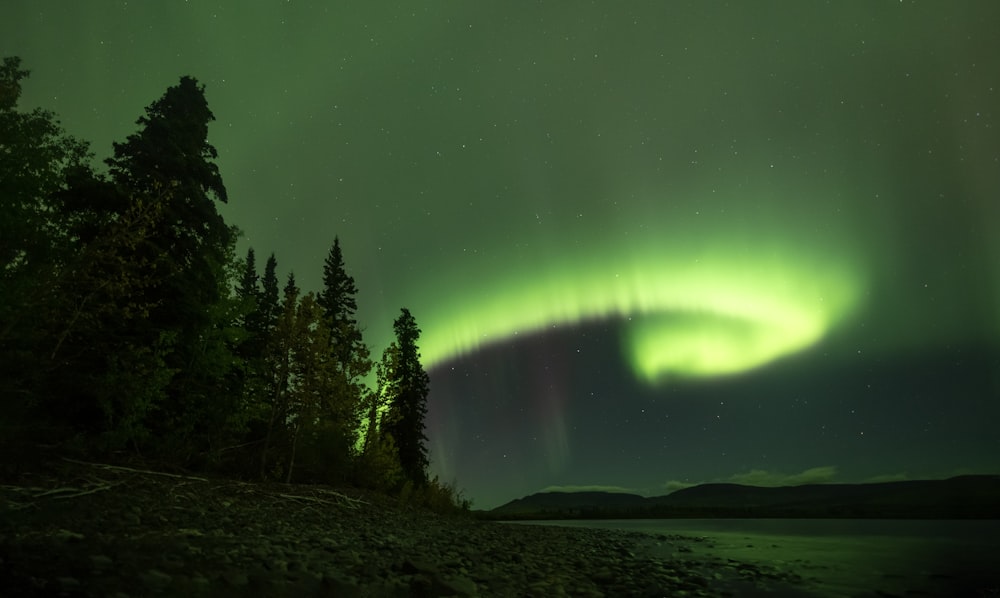 a green and purple aurora bore over a lake