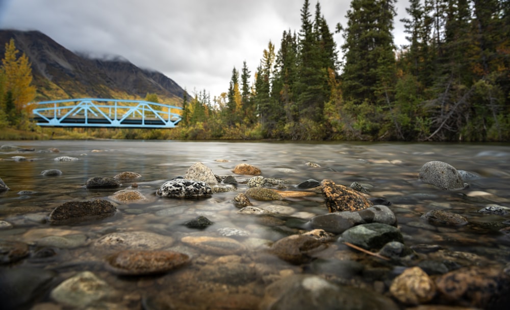 a blue bridge over a river surrounded by trees