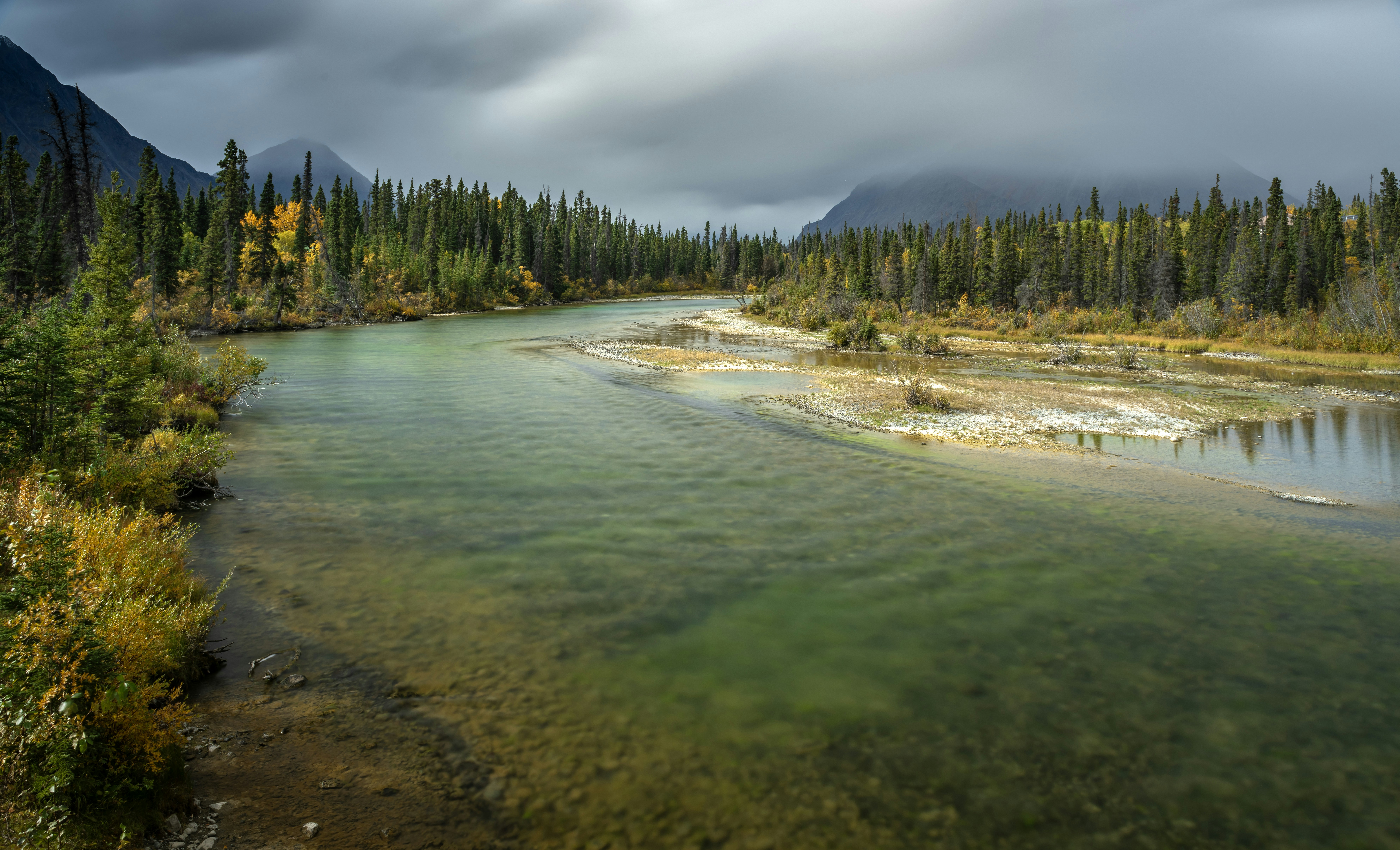 A river running through a forest filled with trees photo – Free Blue ...