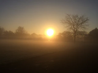 A serene sunrise casting golden light over a misty forest in a national park.