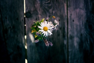 a bunch of flowers sitting on top of a wooden table