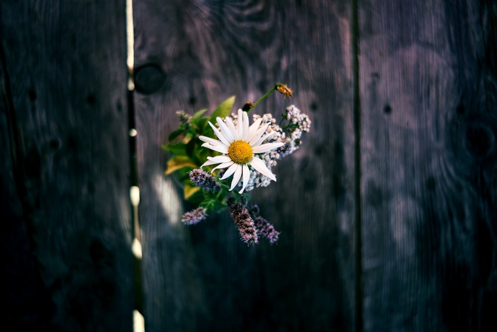 a bunch of flowers sitting on top of a wooden table