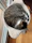Content tabby cat curled up on a plush red pet bed indoors