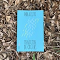 A book with a bright blue cover featuring the title 'TRADUTOR DE CHUVAS' and the author's name, Mia Couto, is placed on a bed of dry, brown leaves. The cover includes abstract yellow and white linear designs.