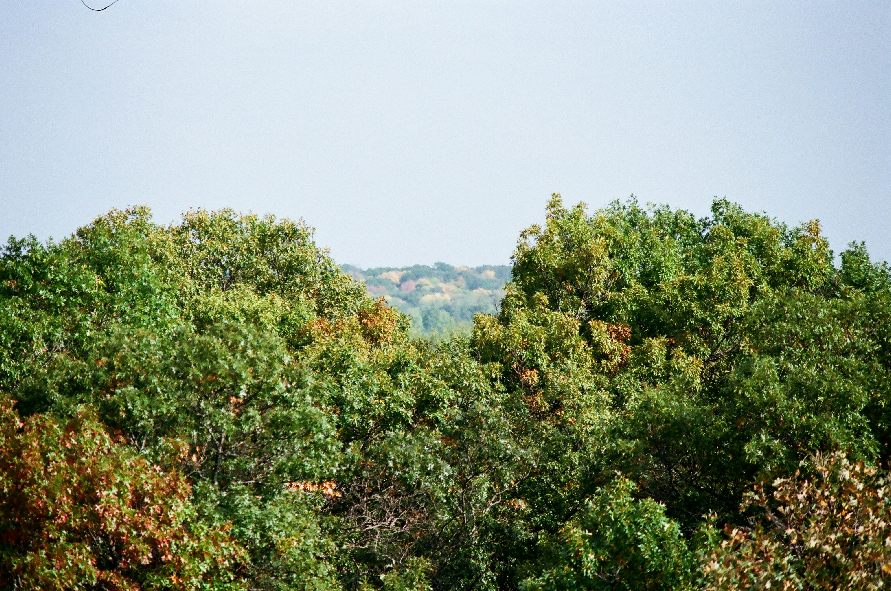 Photo by nickringsmuth