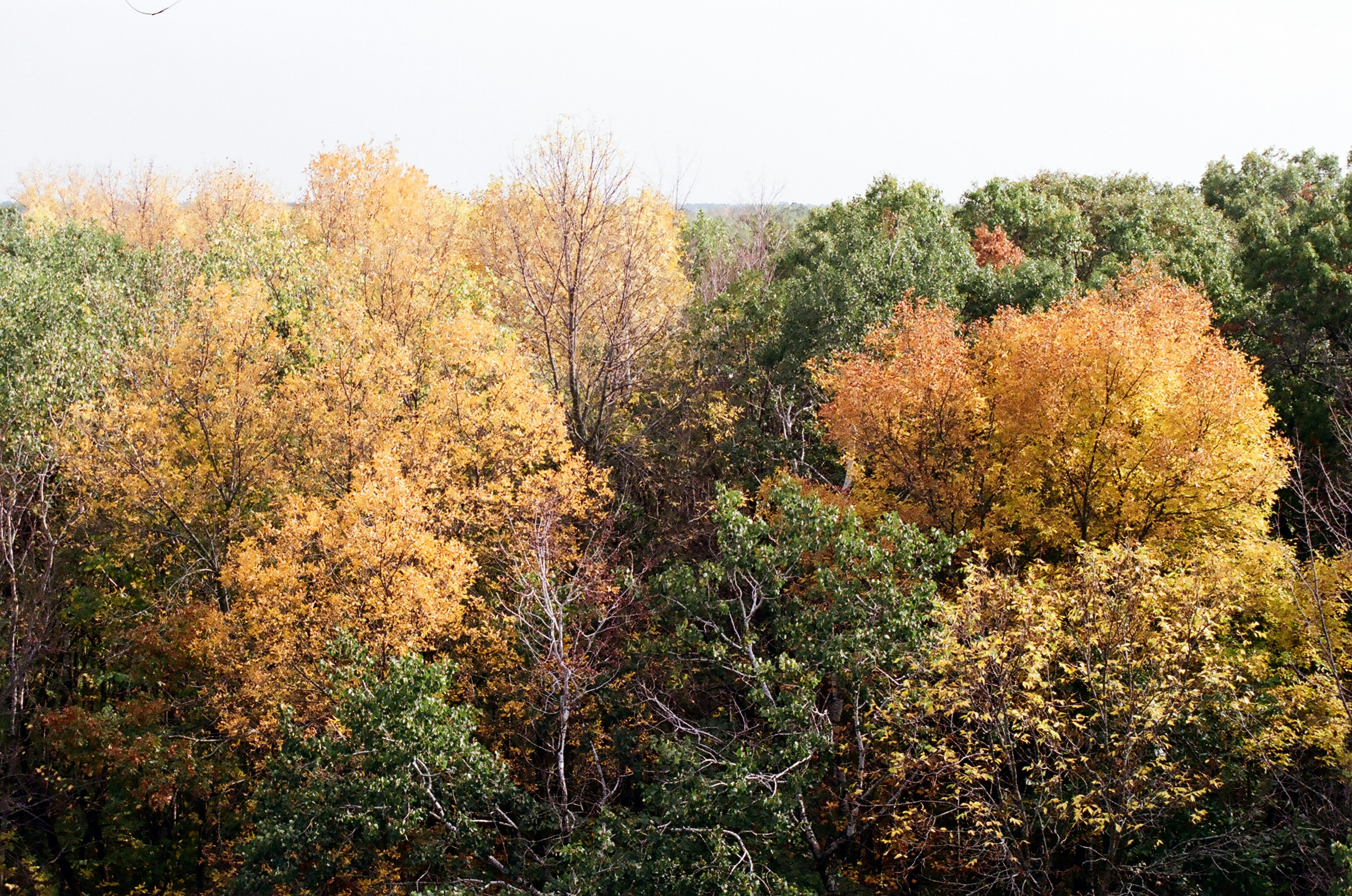 Photo by nickringsmuth