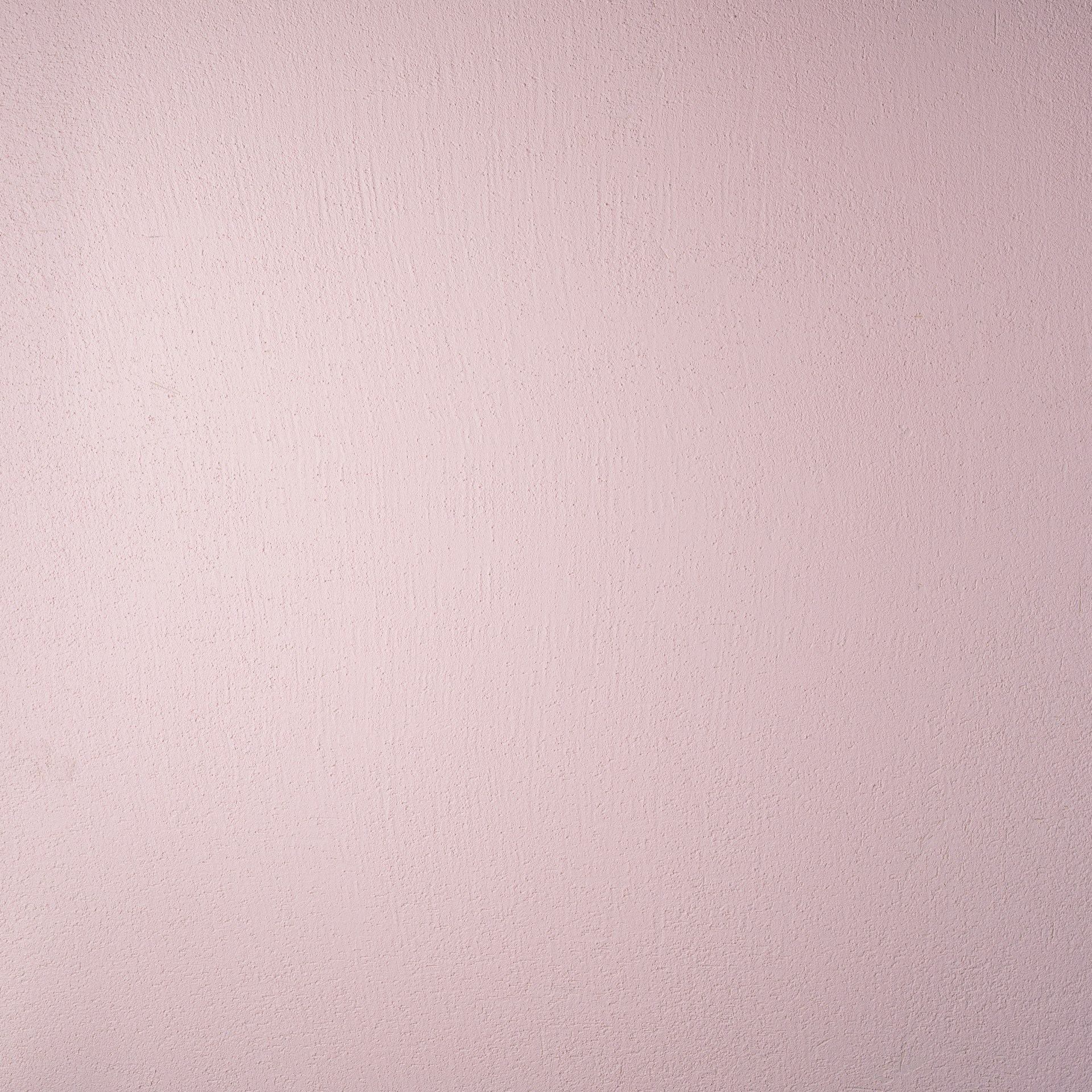 a pink wall with a black and white cat sitting on top of it
