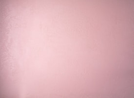 a pink wall with a black and white cat sitting on top of it