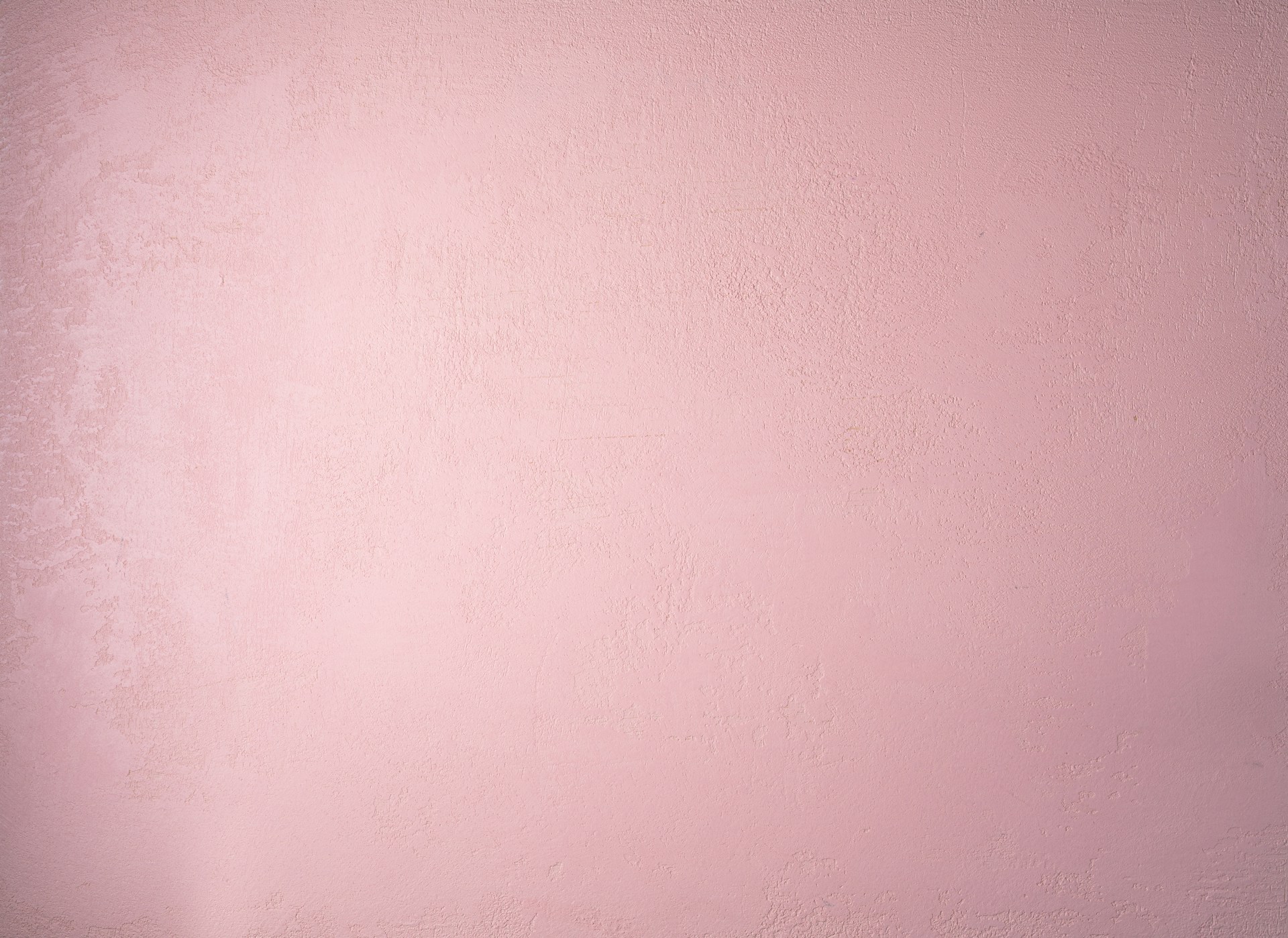 a pink wall with a black and white cat sitting on top of it