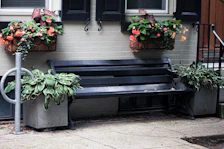 Outdoor garden space with vibrant flowers and cozy benches near the hotel entrance.