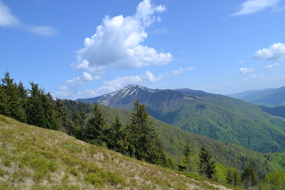 a view of a mountain range from a grassy hill