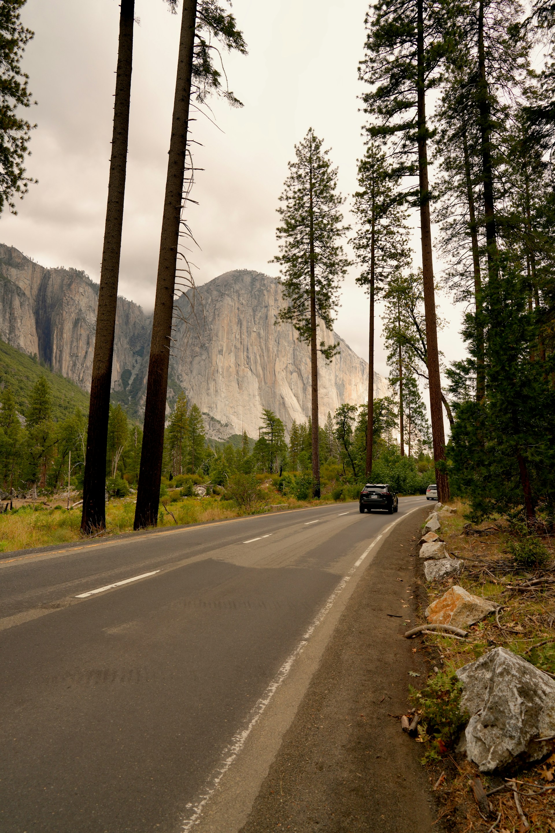 gray computer monitor