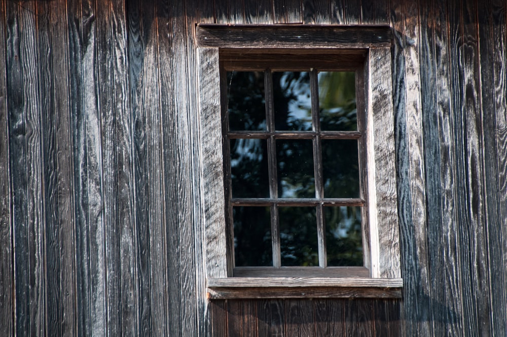 ein Fenster an einer Holzwand mit einem Baum im Hintergrund