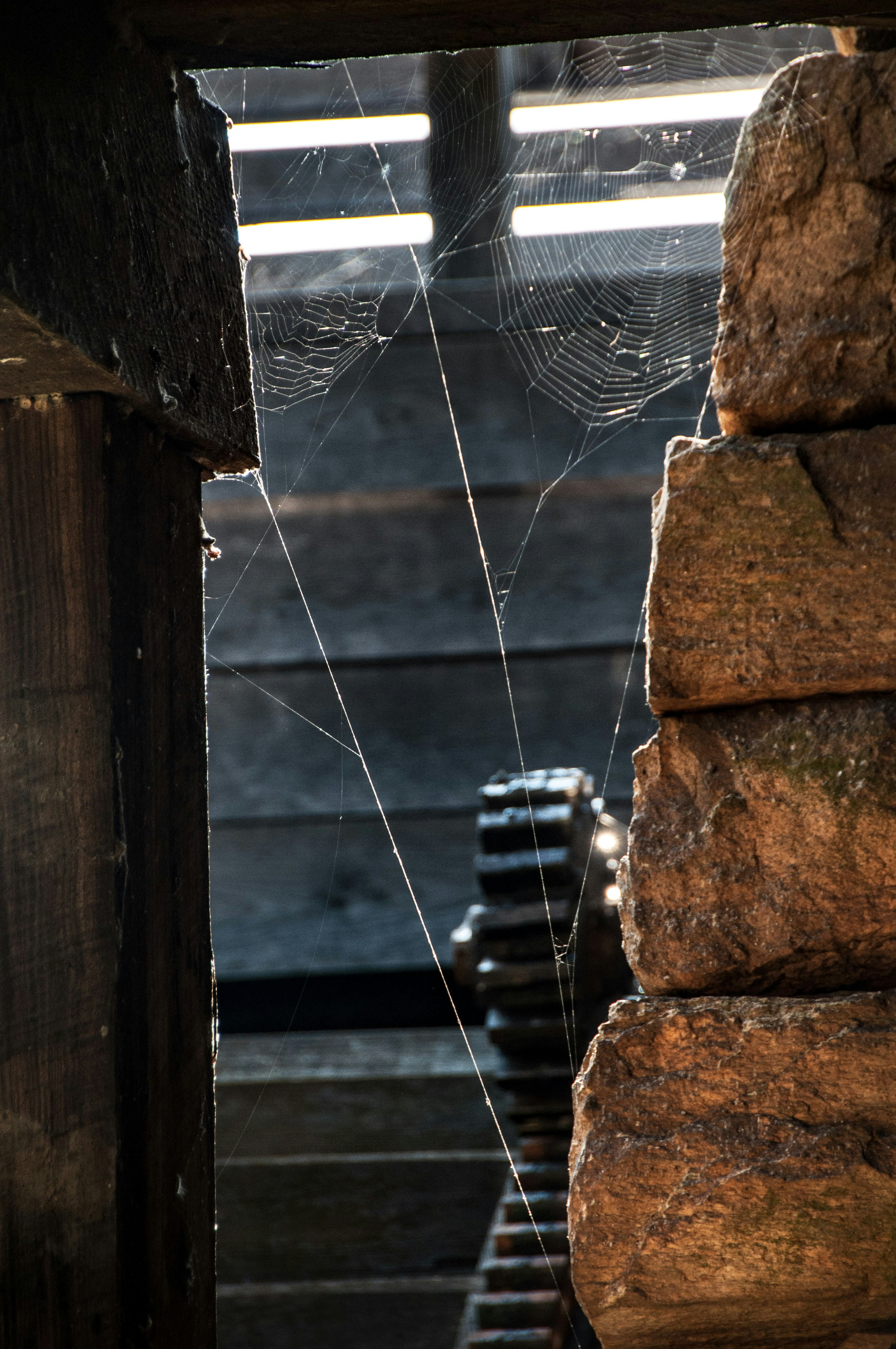 a spider web hanging from the side of a building