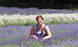 Bernard Sorbier seated with a book in hand, surrounded by lavender fields.