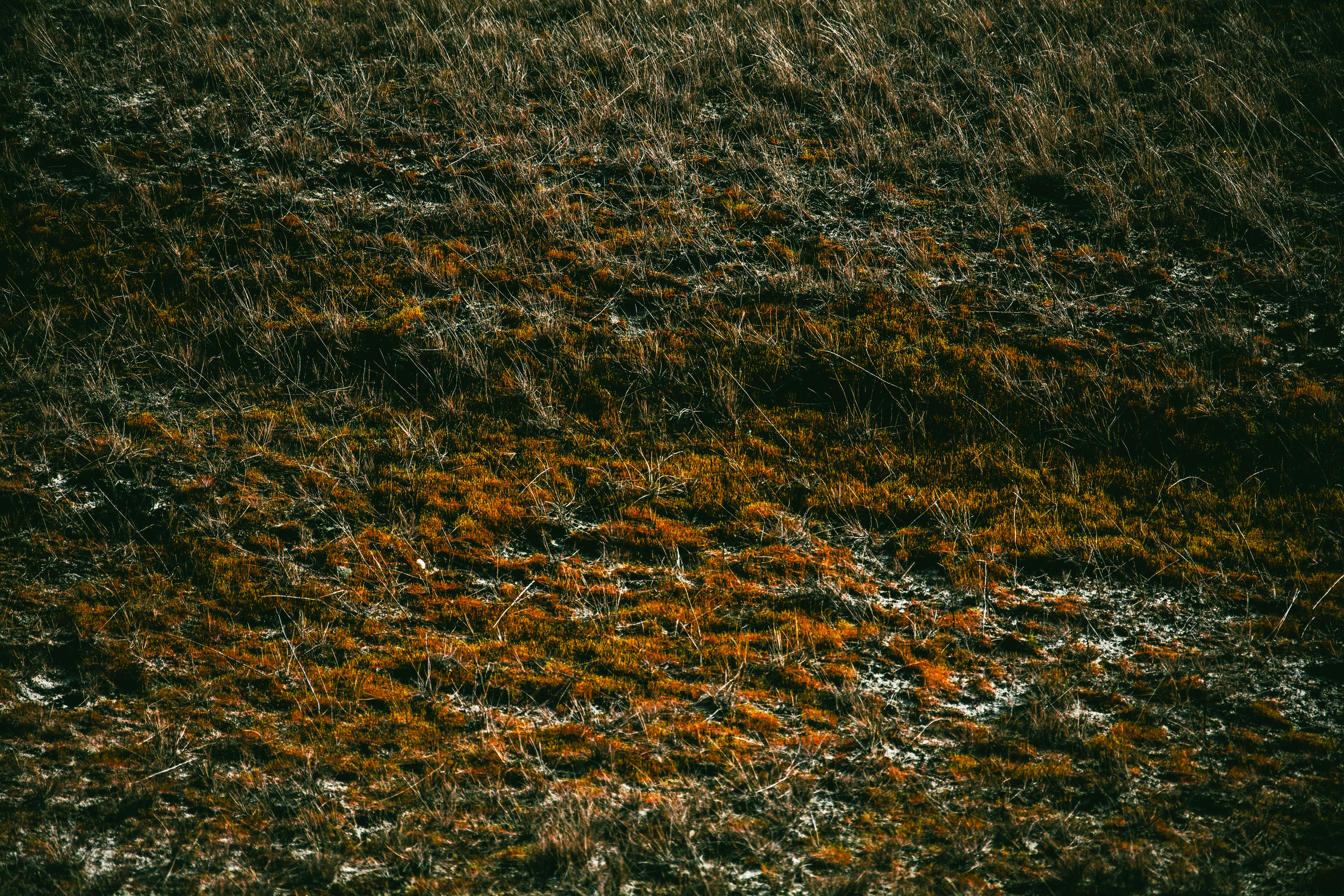 Photo by new_memel_photography