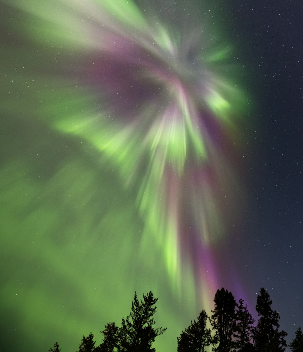 a green and purple aurora bore in the night sky