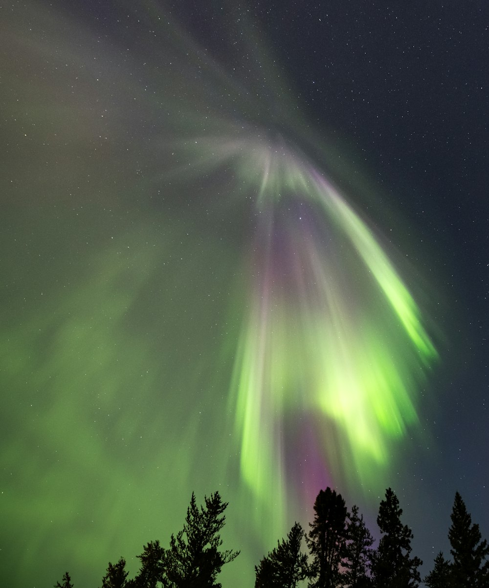 a green and purple aurora bore in the night sky