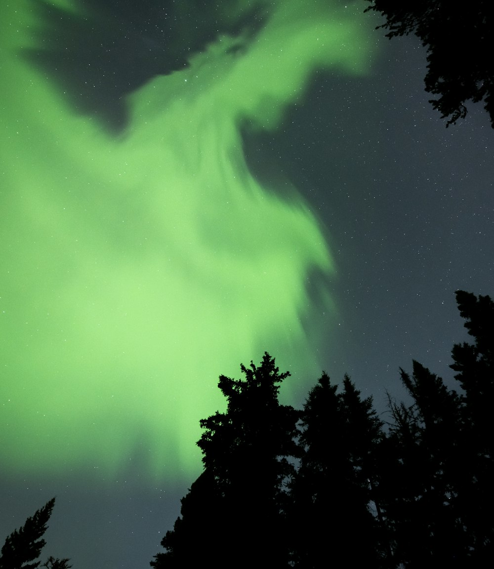 a bright green aurora bore is seen through the trees