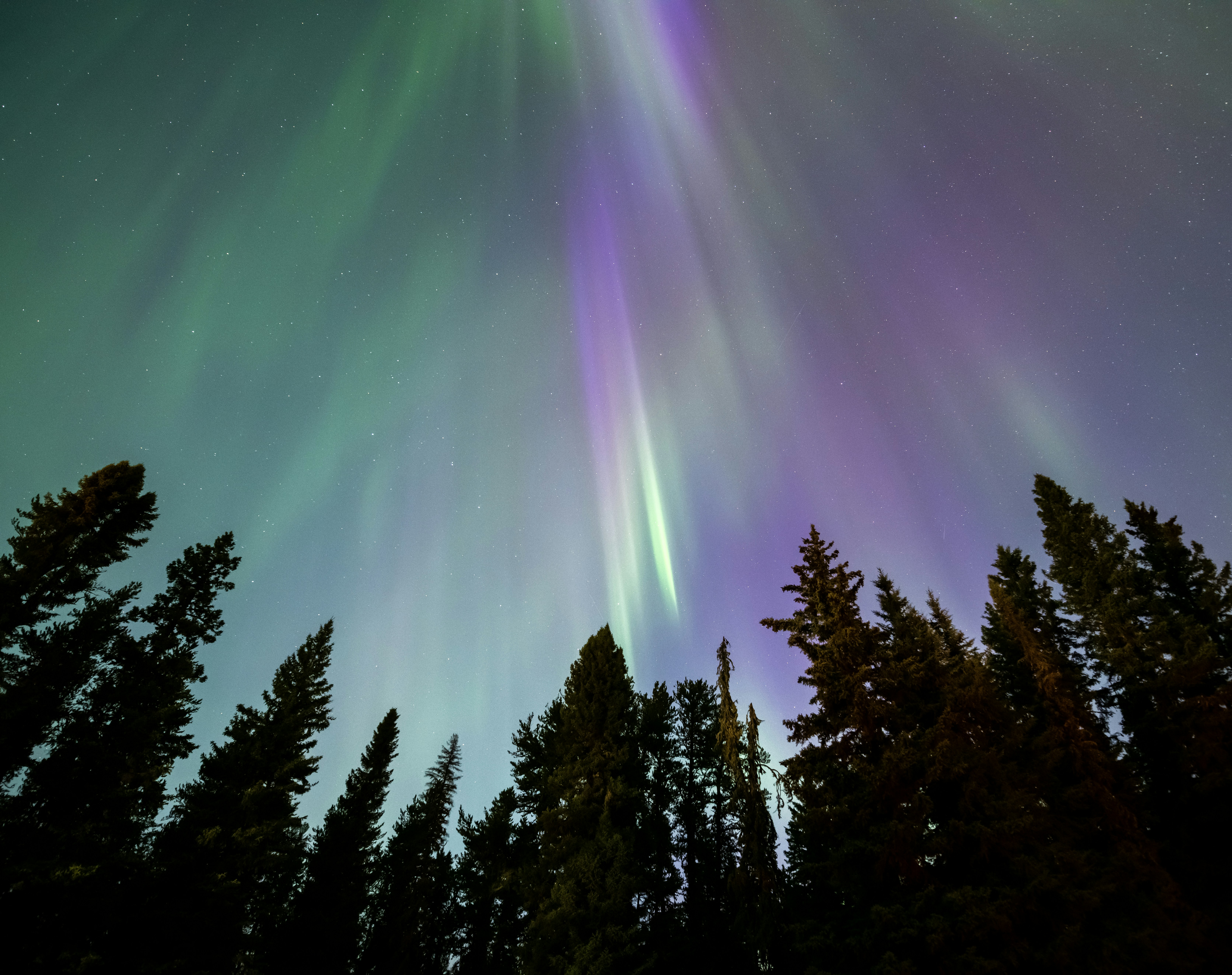 Photo by tornadogreg