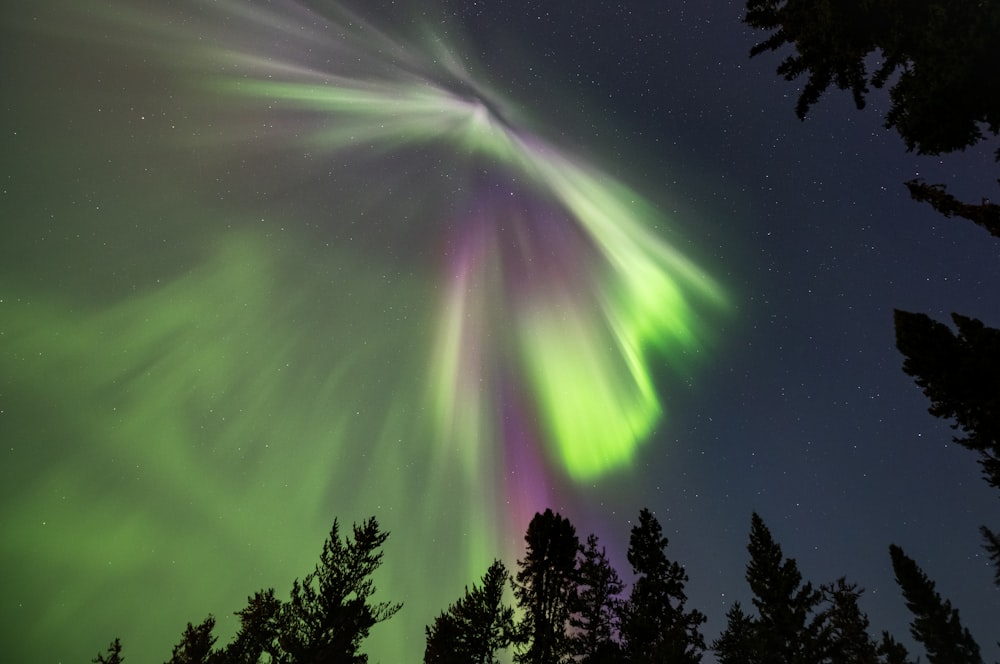 a green and purple aurora bore in the night sky