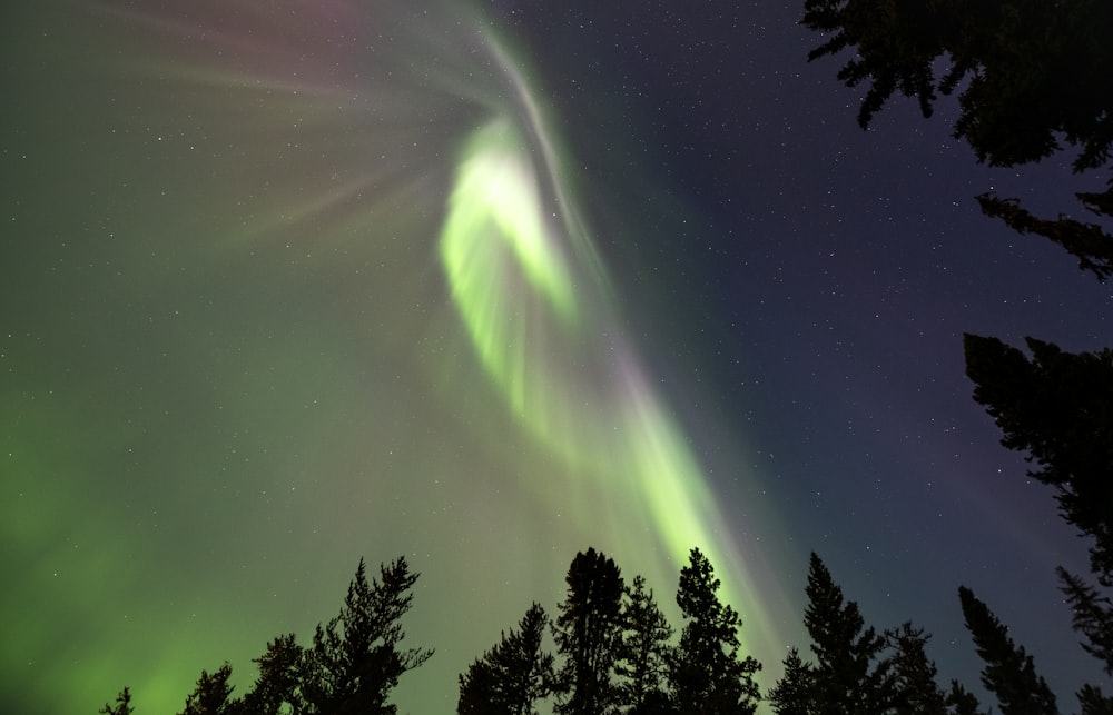 a green and purple aurora bore in the night sky