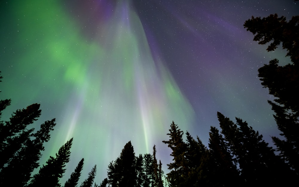 a green and purple aurora bore in the night sky