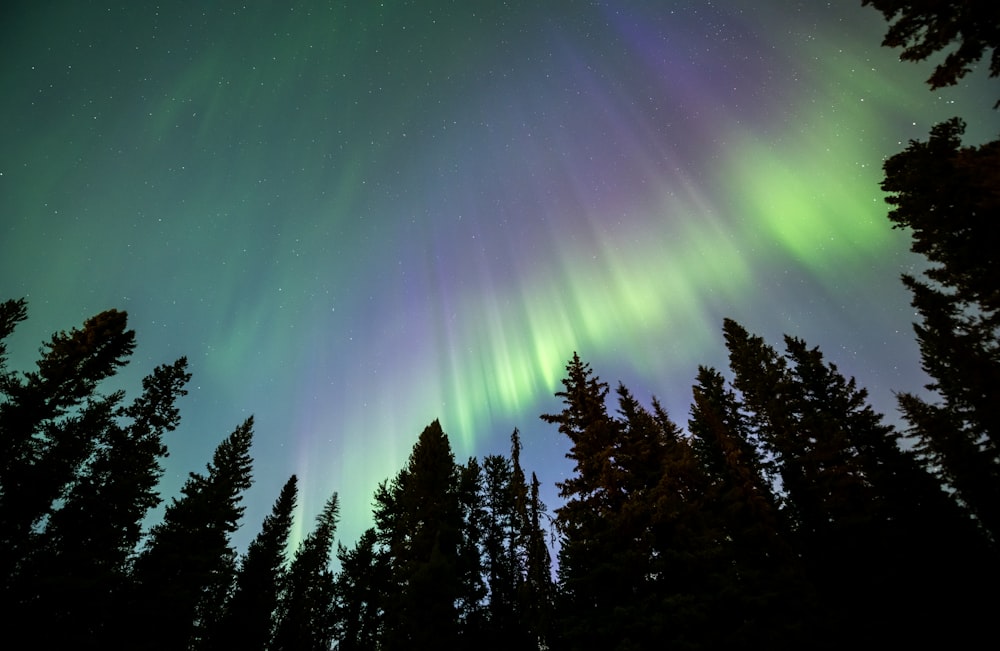 a green and purple aurora bore in the sky