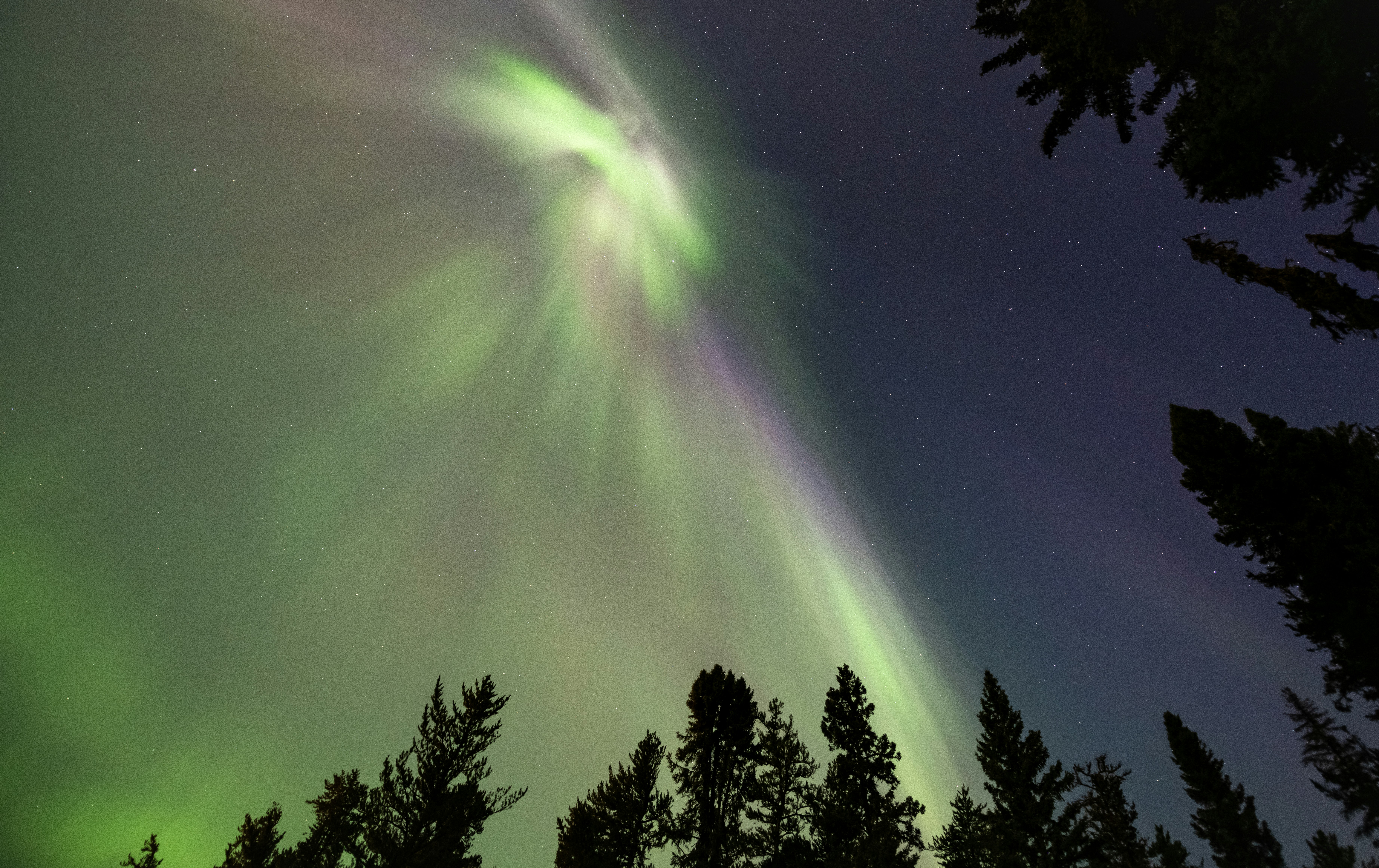 Photo by tornadogreg