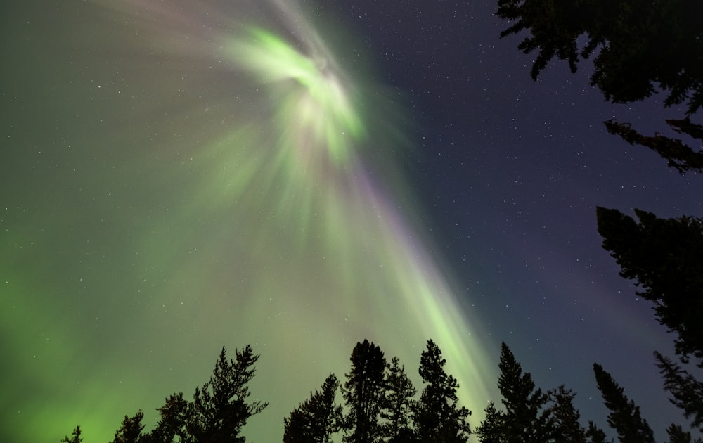 a green and purple aurora bore in the night sky