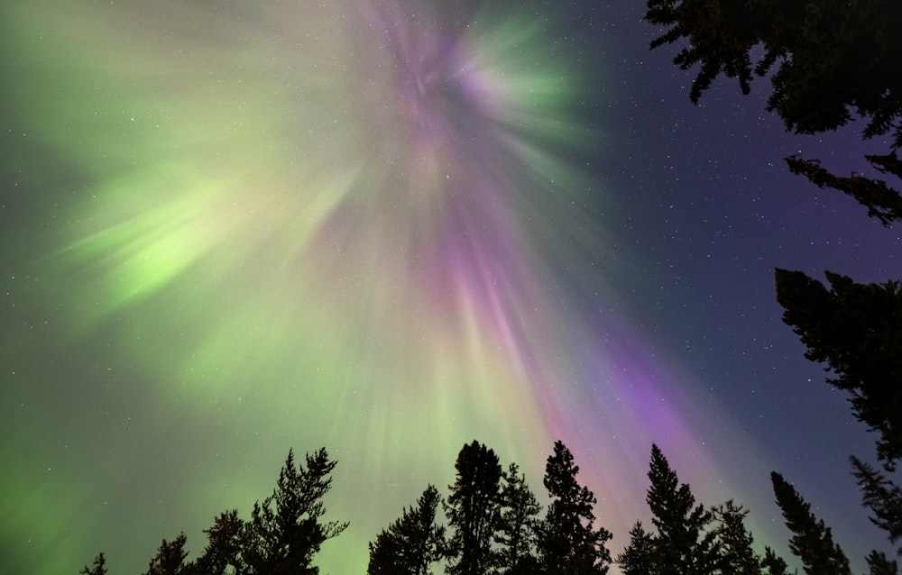 a green and purple aurora bore in the night sky