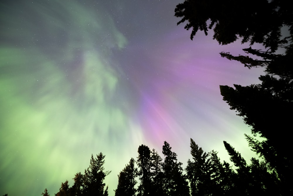 a green and purple aurora bore in the sky