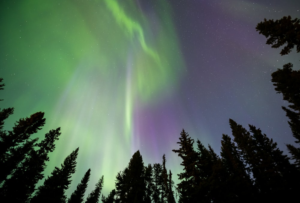 a green and purple aurora bore in the night sky