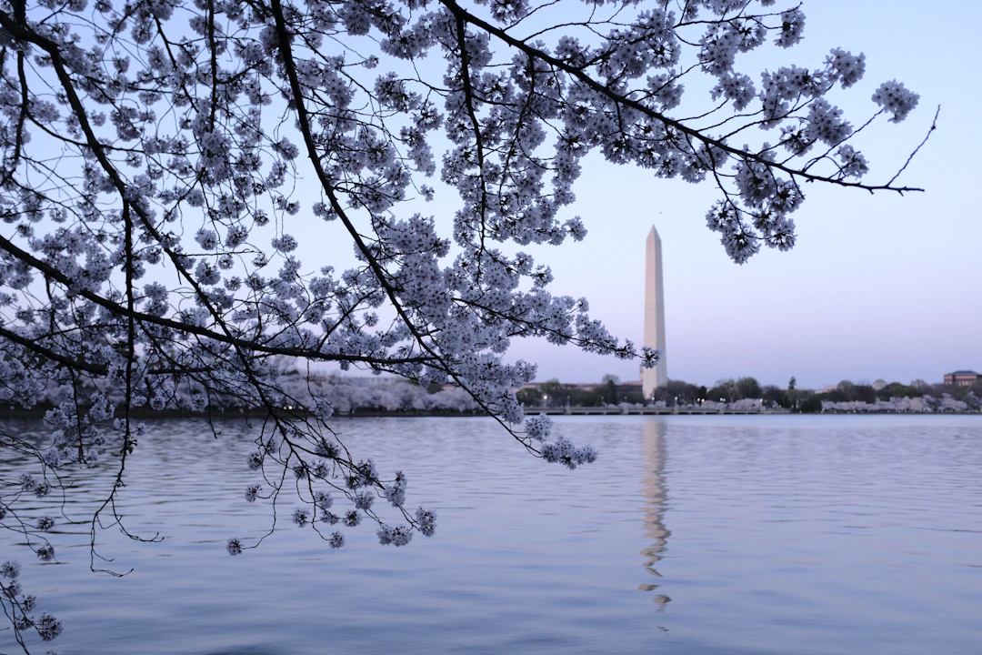 11-Day USA & Canada Family Capital Route | April Spring