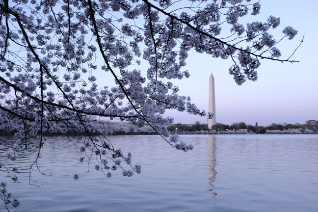 11-Day USA & Canada Family Capital Route | April Spring