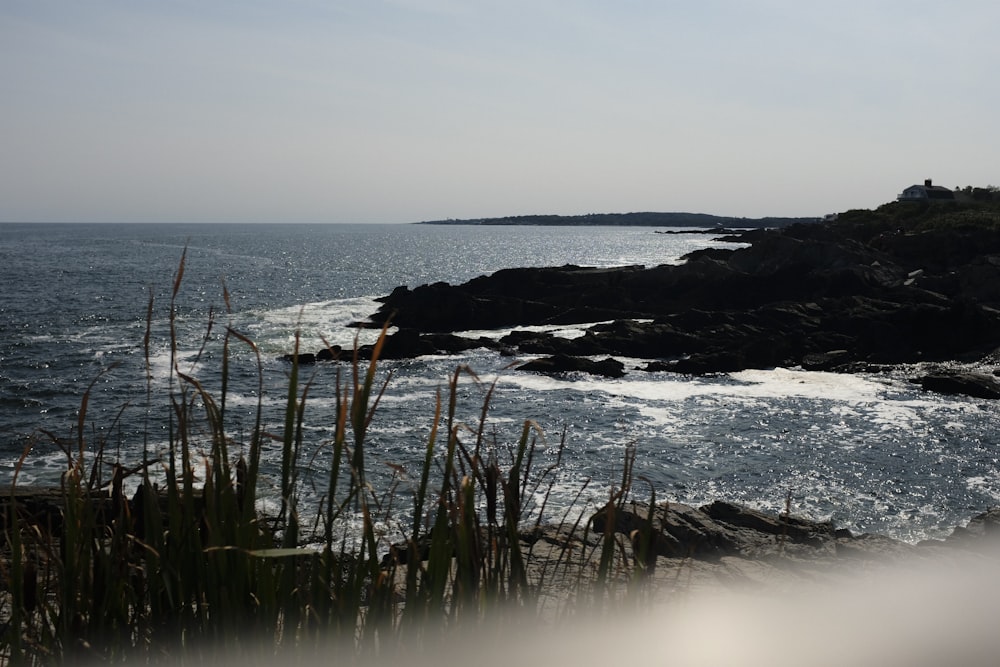 a body of water near a rocky shore