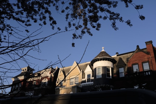 A vibrant display of various roof colors on different house styles under a clear blue sky.