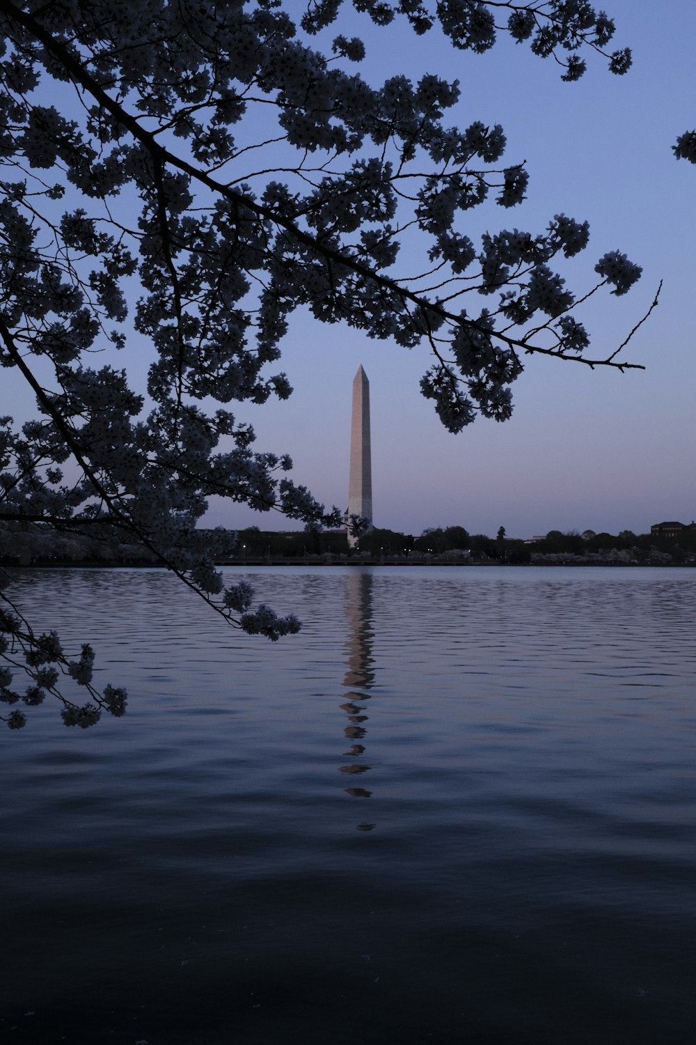 a large body of water with a tall tower in the background