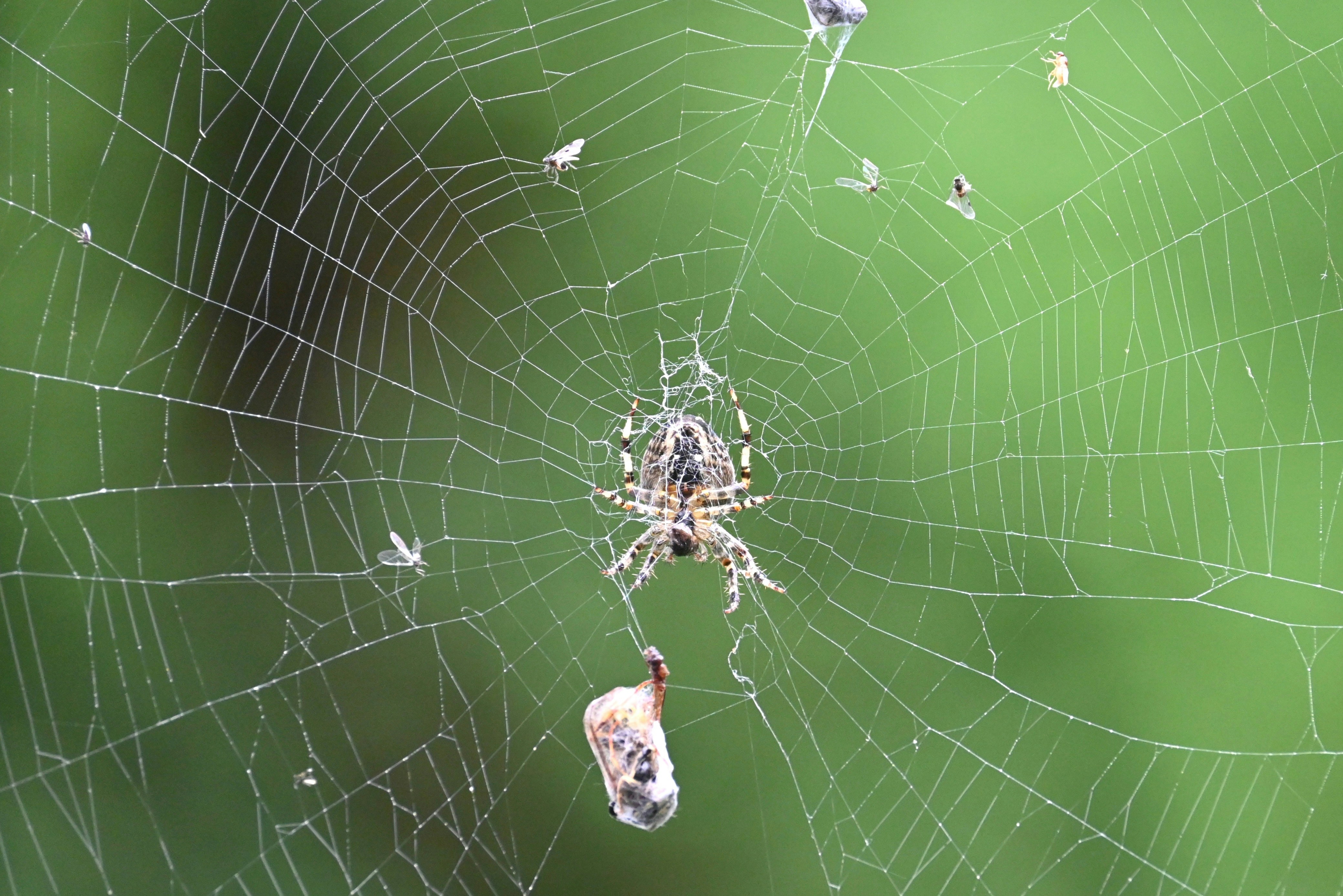 Photo by jodiemcgonagle