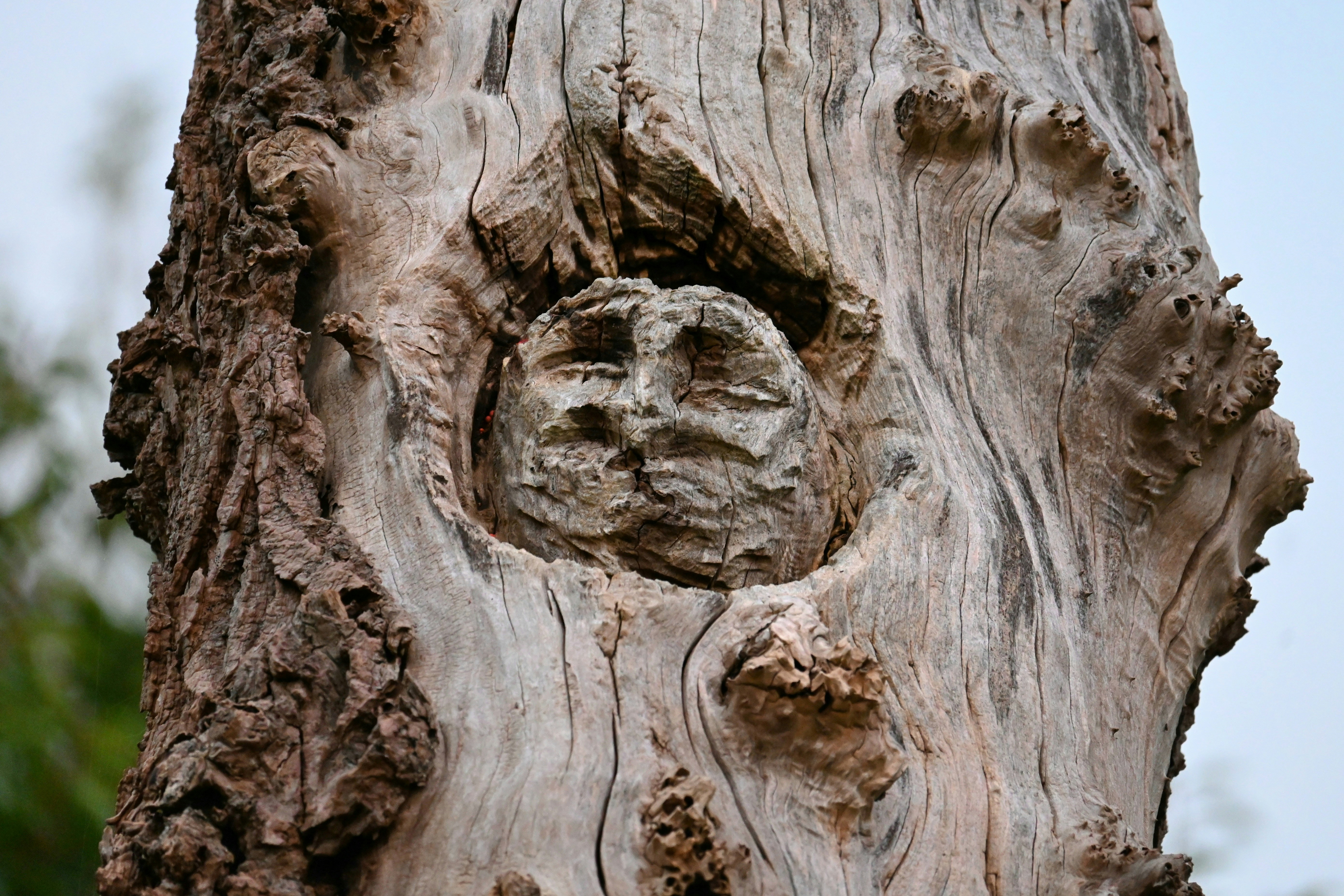 Photo by jodiemcgonagle