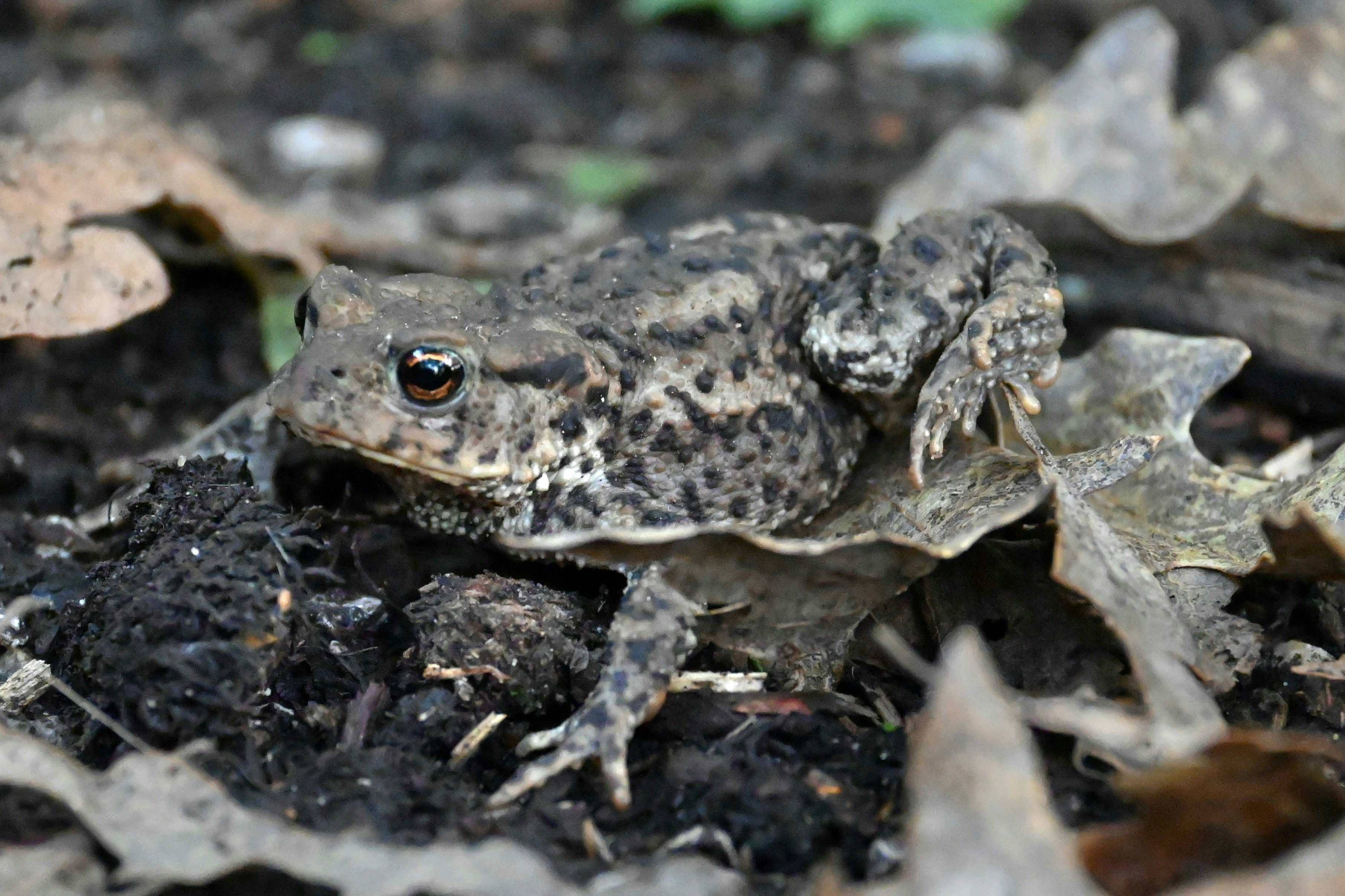 Photo by jodiemcgonagle