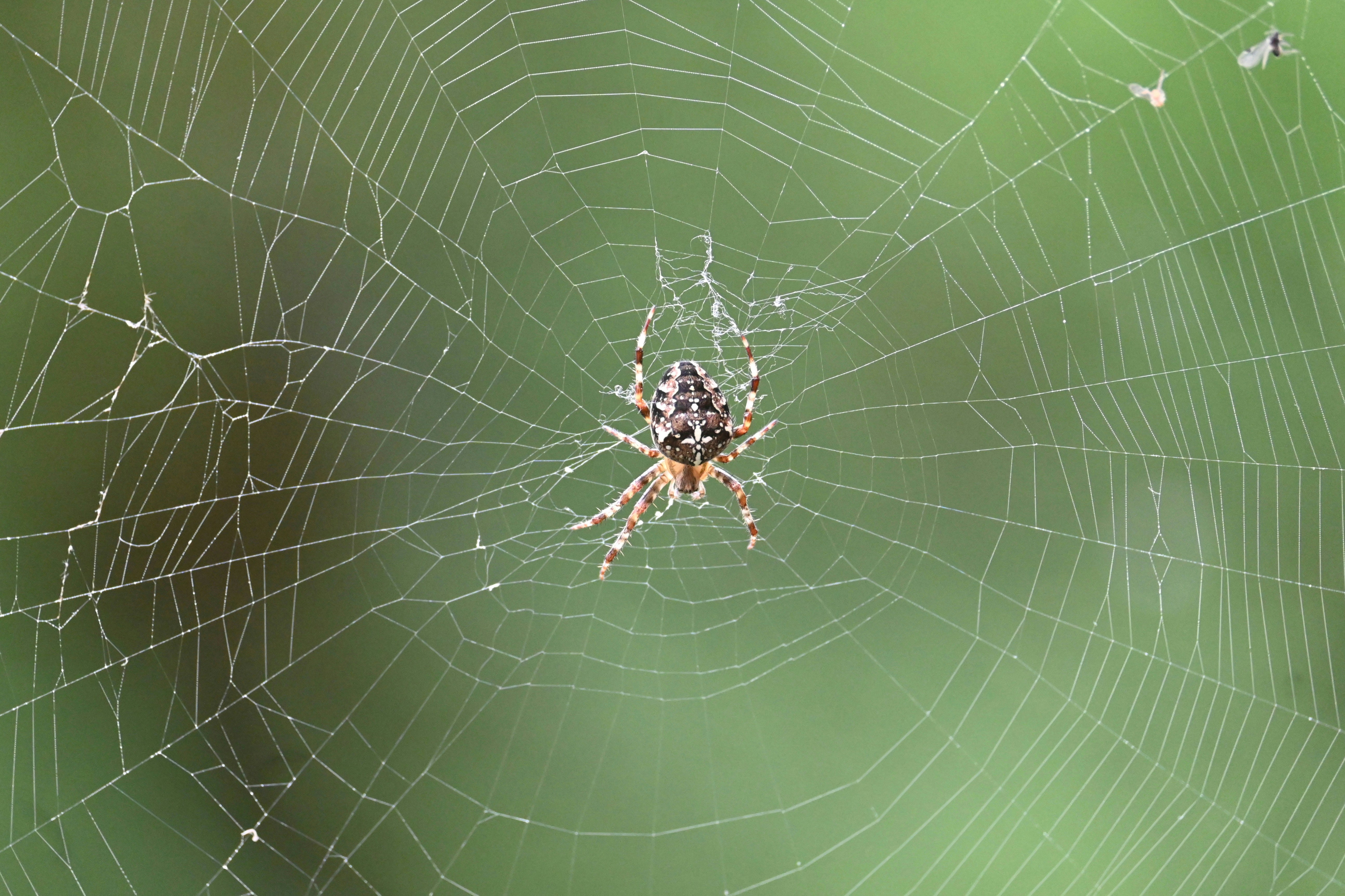 Photo by jodiemcgonagle