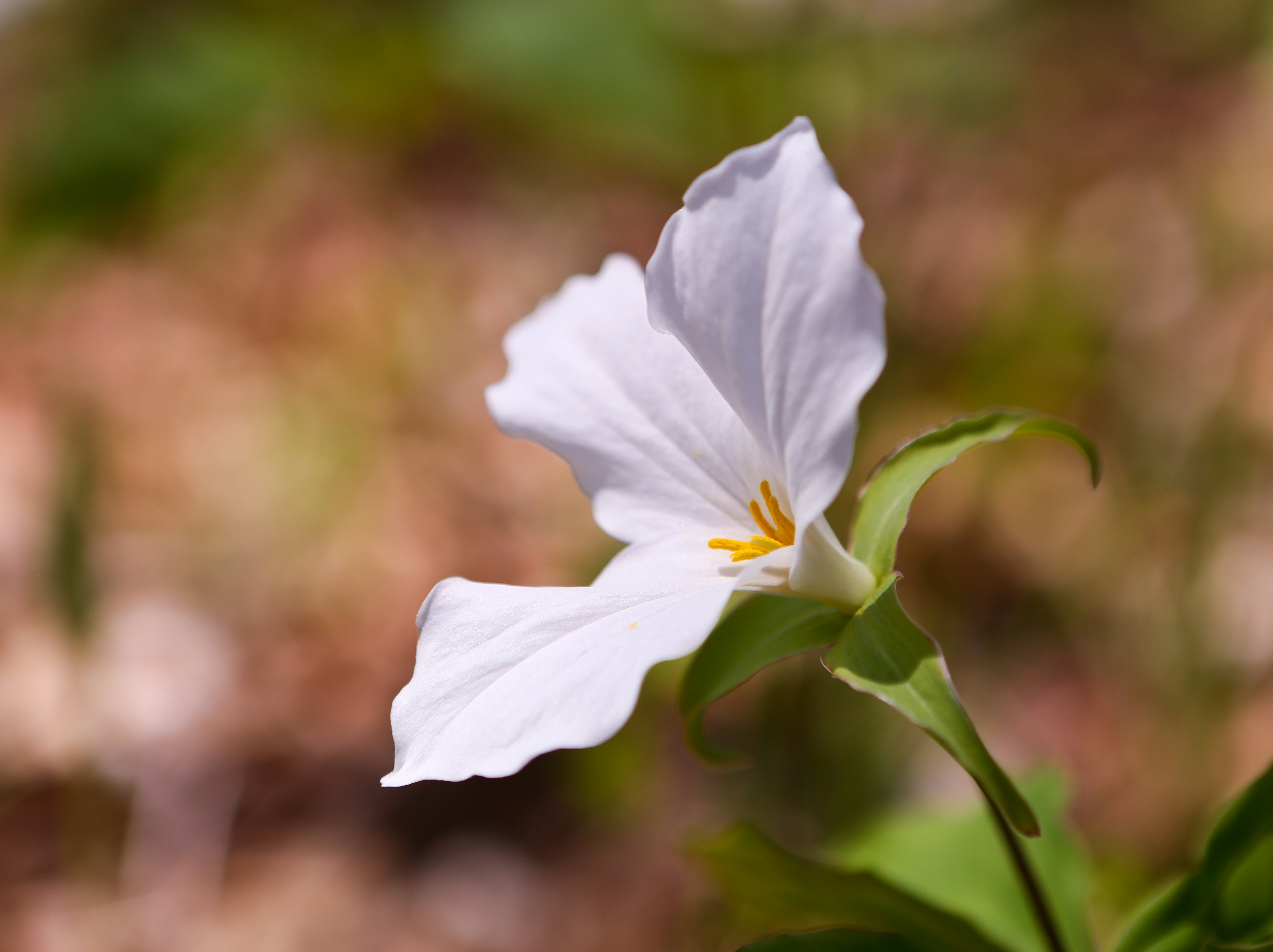 Photo by terry885908