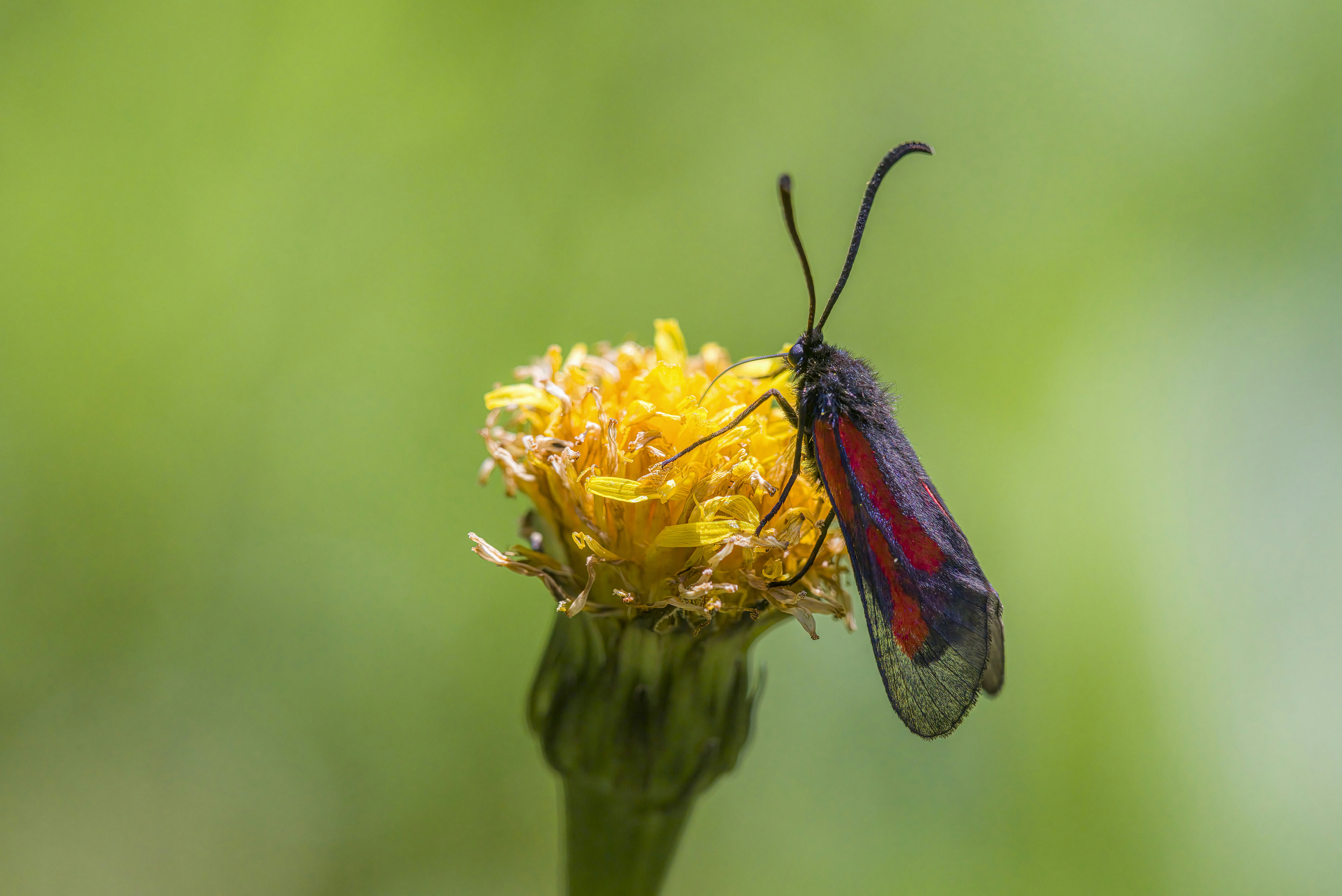 Photo by erik_karits