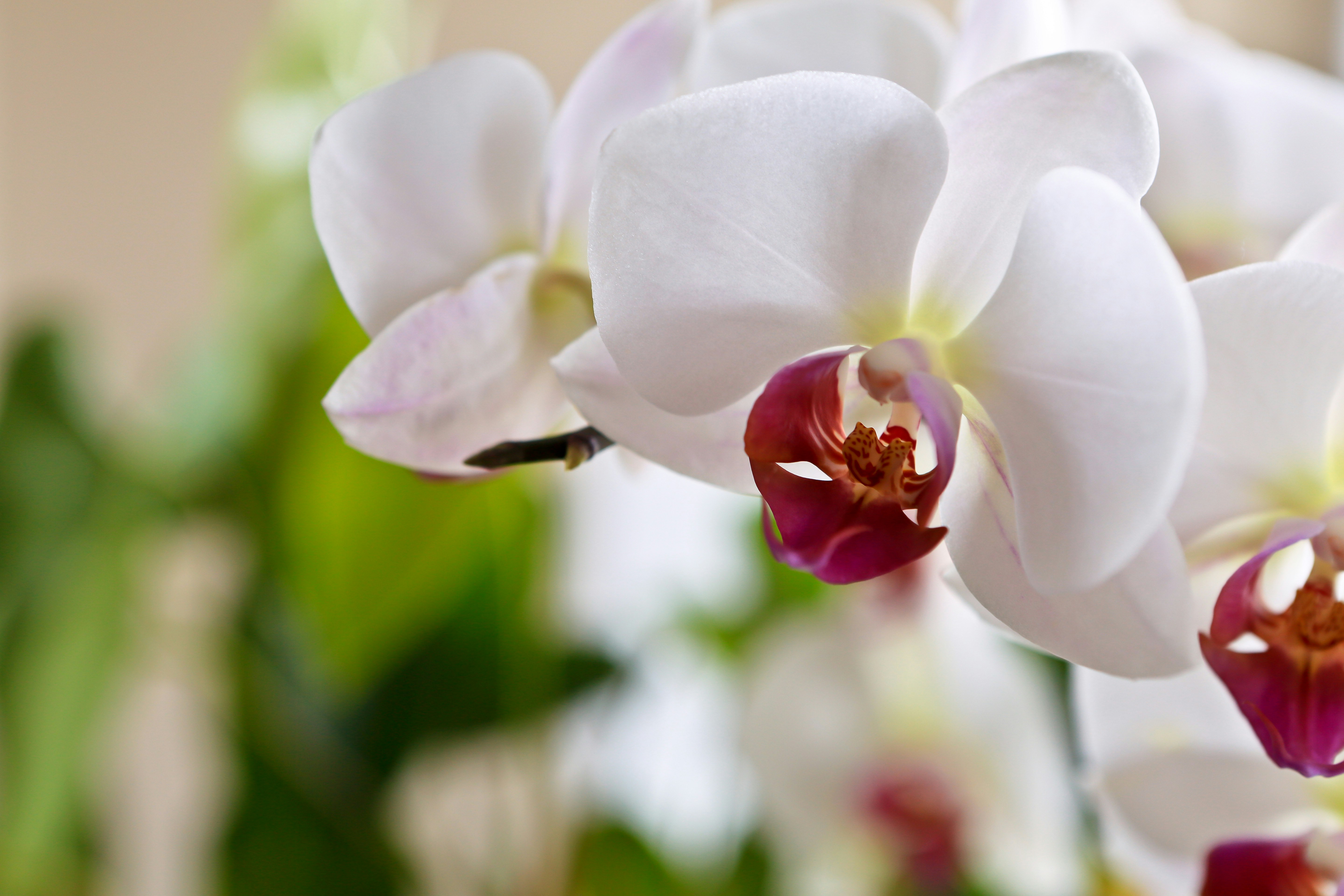 Photo by terry885908