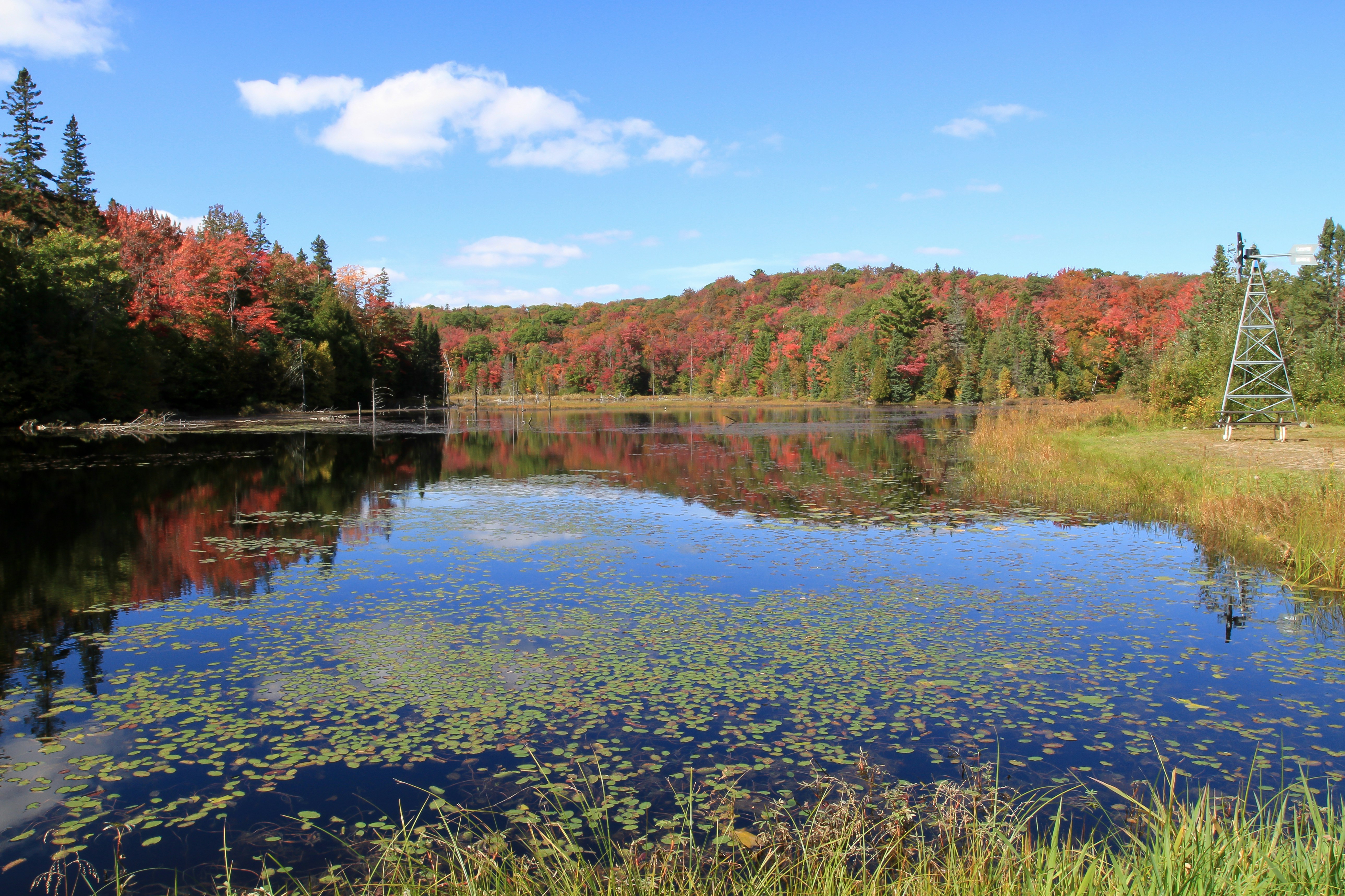 Photo by terry885908