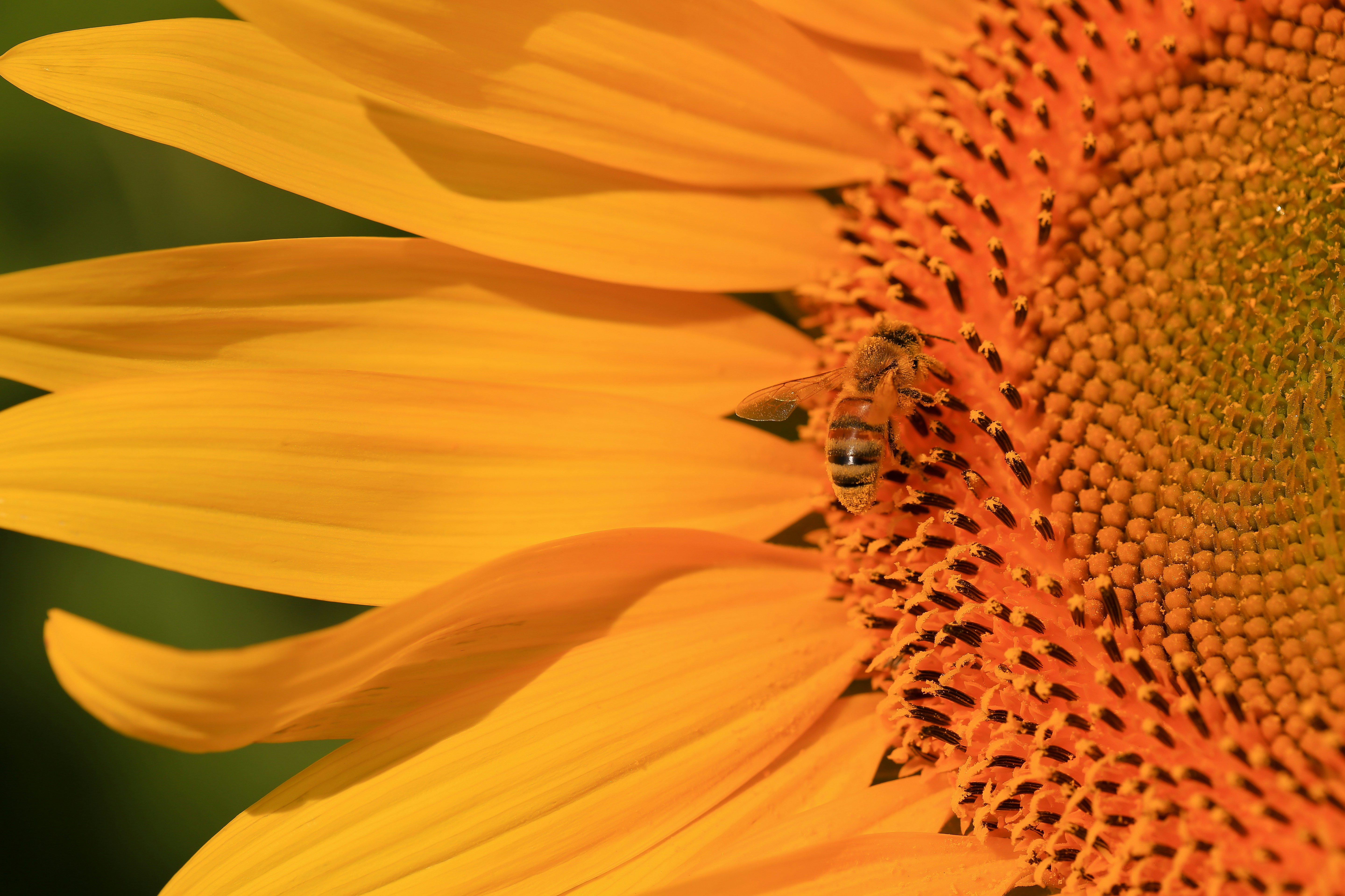 Photo by terry885908