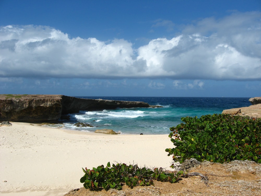 a sandy beach with blue water and white clouds