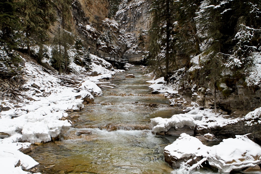 a stream running through a snow covered canyon