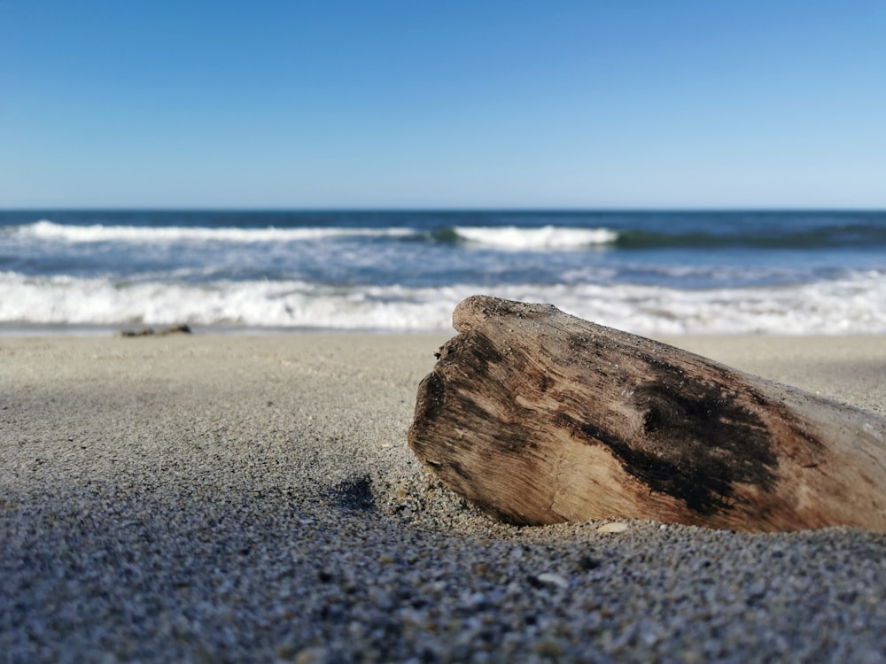 um pedaço de madeira sentado em cima de uma praia de areia